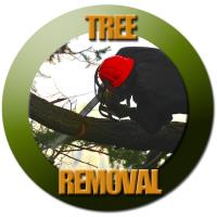 Tree Service Fort Worth image 1